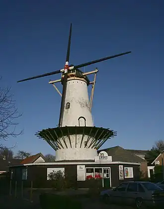 Windlust met kale roeden (begin 2008)