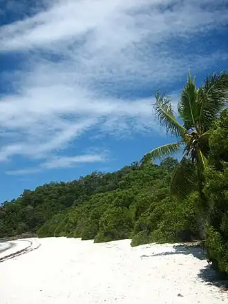 Het hagelwitte strand van Whitehaven Beach met tropische vegetatie