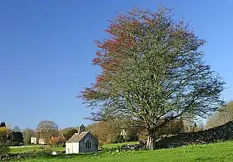 De kerk en het Manor House van Widford