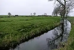 Wierde (links) aan de Kleine Heekt (midden) ten zuiden van Wierhuizen. Hier stond tot in de jaren 1960 een boerderij.