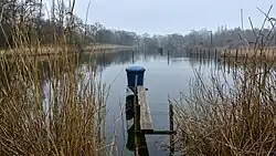 Een viskweekvijver in De Wijers
