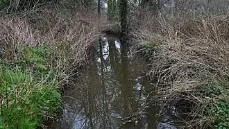 De Zonderikbeek in Zonhoven (2022)