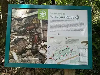 Wijngaardberg