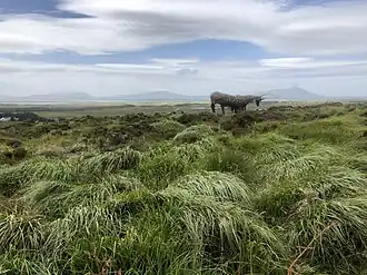 Nationaal Park Wild Nephin