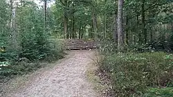 Wildobservatiepunt Speulder- en Sprielderbosch