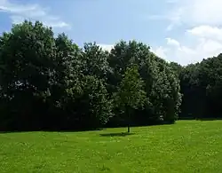 Plaats van het voormalig kunstwerk (deels in de bosschages), nog zonder de nieuwe bestemming, 2013