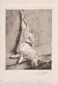 Studie van een konijn, ets, 1917. Aantekening van J.D. Scherft: 'overleden nov. 1918 - Spaanse Griep'. Particulier bezit