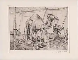 Kamelen, ets, 1917. Particulier bezit