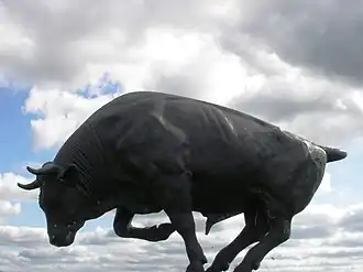 Willeskopper stier (Willeskop)