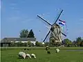 De Veenmolen