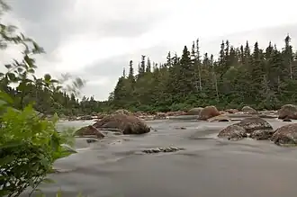Zicht op een van de takken van Windmill Brook in de nabijheid van het kampeerterrein