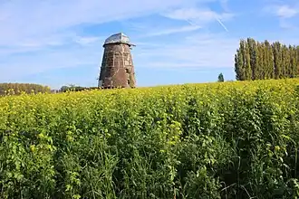 Windmolen van Elene