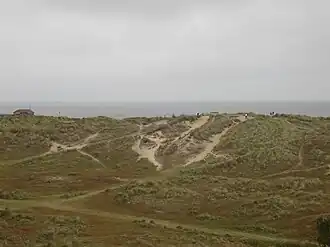 Duinen bij Winterton