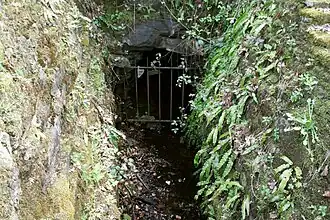 Schaduwrijke, vochtige en stenige groeiplaats