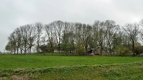 Terrein met een wierde en overblijfselen van Klooster Bloemhof