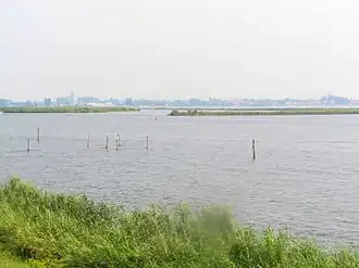 Wolderwijd gezien vanuit Flevoland