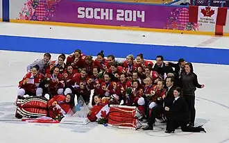 IJshockey op de Olympische Winterspelen 2014