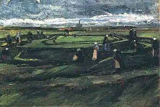 Nettenboetsters in de duinen