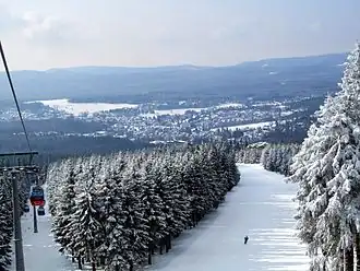 Uitzicht op Braunlage vanaf de Wurmberg