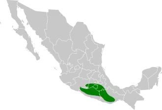 Mexicaanse kuiftiran