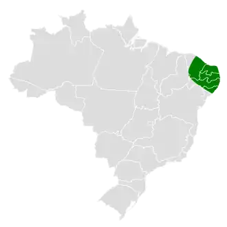 Atlantische muisspecht