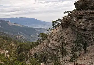 Bergbosreservaat Jaltinski