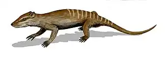 Yanoconodon
