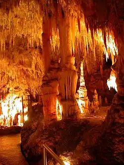 Yarrangobillygrotten in de Snowy Mountains