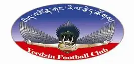 Yeedzin FC