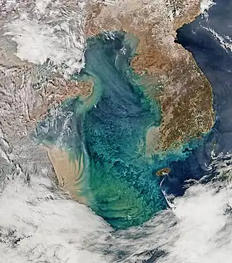 Bruin: het sediment dat de rivieren meevoeren. Blauwgroen: fytoplankton.