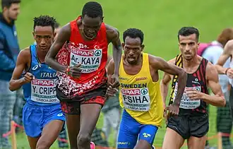 Europese kampioenschappen veldlopen 2019