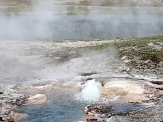 Young Hopeful Geyser