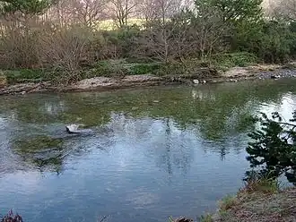 De Ystwyth bij Trawsgoed