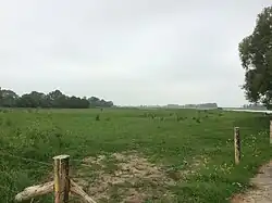 Het in 2016 afgeplagde gebied voor de ontwikkeling van plas-dras weiland