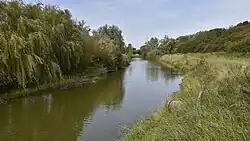 Gouwelozekreek op de grens met Stene