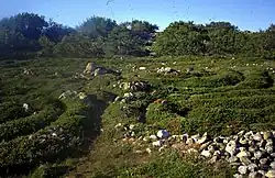 Trojaburchten op Zajatski eiland, Solovetski archipel, Rusland