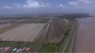 rijstvelden achter de dijk