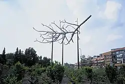 De tak van Salzburg (1999), Zeist