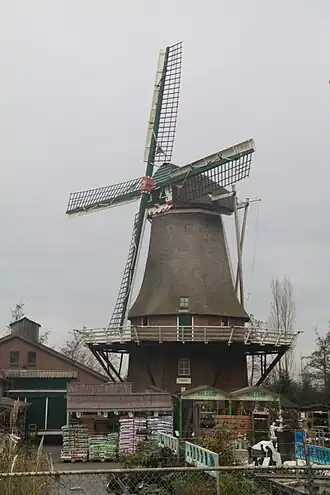 Zeldenrust, januari 2009