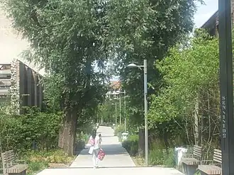 Zennepark aan de zijde van de Helihavenlaan