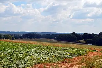 Groesbeek Provinciale weg 841