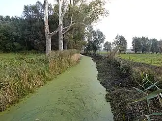 Vallei van de Zeverenbeek