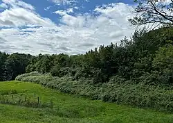 Zicht op een lange braammantel tussen loofbos en grasland