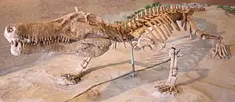 Hsisosuchus twojiangensis.