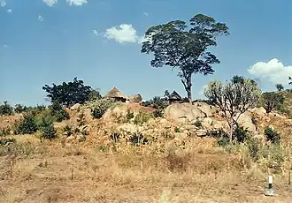 Traditionele huizen in Zimbabwe (foto 1995).