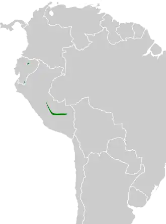 Roodsnavelvliegenpikker