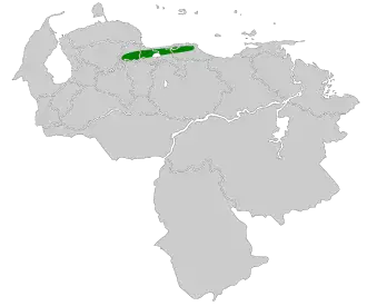 Venezuelavliegenpikker