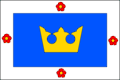 Vlag