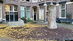 Twee keien in de Zocherstraat (november 2018)