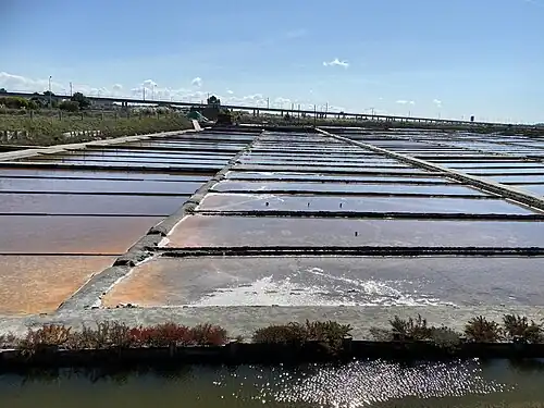 Zoutpannen van Aveiro